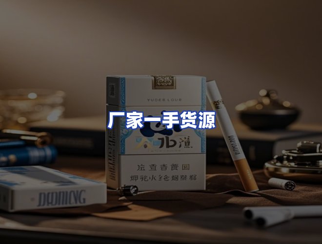 专业团队